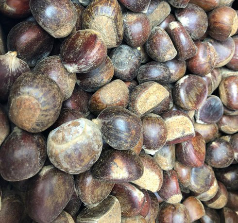 Hạt dẻ TQ 50-60.000 đồng/kg gắn mác hạt dẻ Trùng Khánh, Sapa thổi giá cao gấp 3 - Ảnh 1.