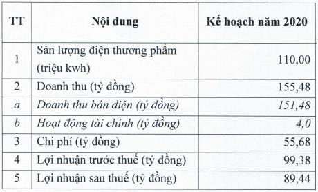 Điện miền Trung (SEB) đặt kế hoạch đì lùi trong năm 2020 - Ảnh 1.