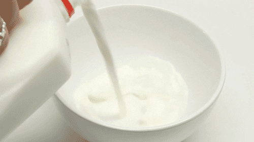 Câu hỏi nhiều người thắc mắc: Sữa tách béo có hiệu quả cho việc ăn kiêng, giảm cân? - Ảnh 1.