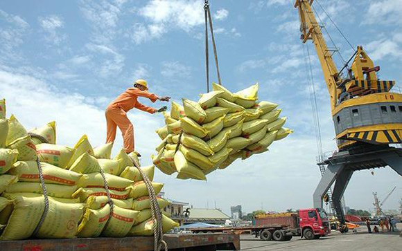 Năm 2019, xuất khẩu gạo sụt giảm 300 triệu USD - Ảnh 1.