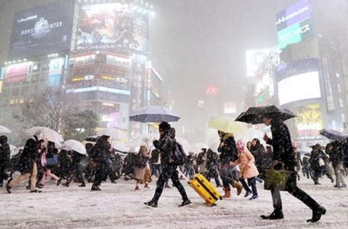 Nhật Bản chìm trong giá lạnh khắc nghiệt, 100 chuyến bay bị hủy - Ảnh 1.