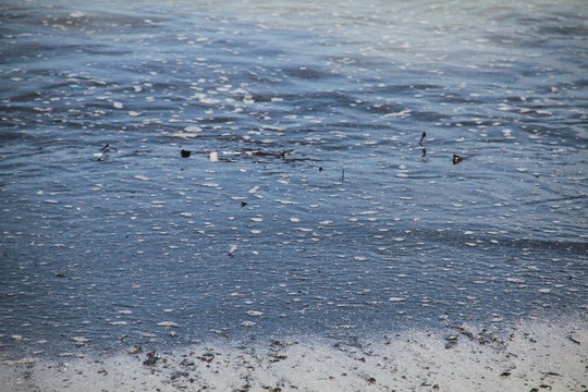 Đà Nẵng: Xuất hiện nước biển đen ngòm và bốc mùi hôi bất thường - Ảnh 1.
