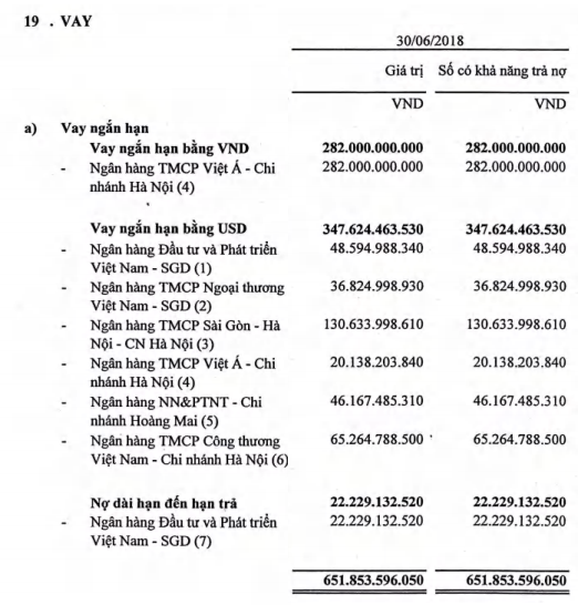 Lỗ 440 tỷ trong 4 năm với nợ quá hạn vài trăm tỷ đồng, công ty cũ TH1 của Shark Vương lần lượt bị Vietinbank và BIDV rao bán nợ - Ảnh 2.