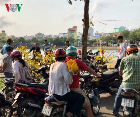 Cần Thơ: Mai vàng Đại Lộc thu hút đông đảo khách đến mua - Ảnh 2.