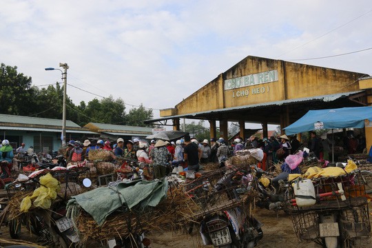  Nghề độc ở chợ heo lớn nhất Quảng Nam  - Ảnh 1.