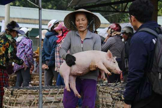  Nghề độc ở chợ heo lớn nhất Quảng Nam  - Ảnh 2.