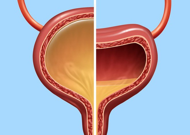 Ai quan tâm đến sức khoẻ tim, gan, phổi, thận cần phải biết điều này - Ảnh 4. Ai quan tâm đến sức khoẻ tim, gan, phổi, thận cần phải biết điều này - Ảnh 4.