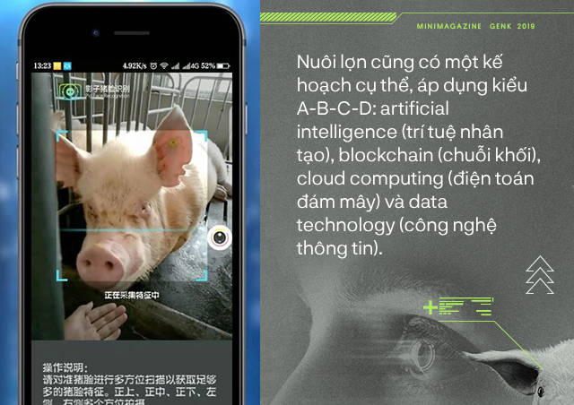 Trung Quốc chống lại dịch tả lợn châu Phi bằng công nghệ nhận diện mặt lợn như thế nào? - Ảnh 3.