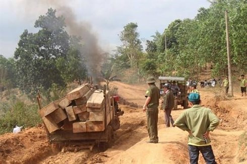 Lương thấp như cán bộ bảo vệ rừng: Đi 30 km/ngày, lương 3 triệu/tháng - Ảnh 1.