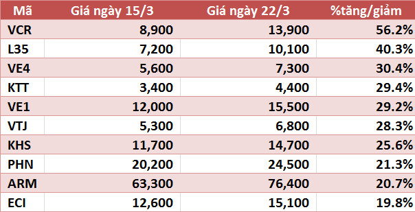 10 cổ phiếu tăng/giảm mạnh nhất tuần: Nhóm vốn hóa nhỏ tiếp tục bứt phá - Ảnh 3.