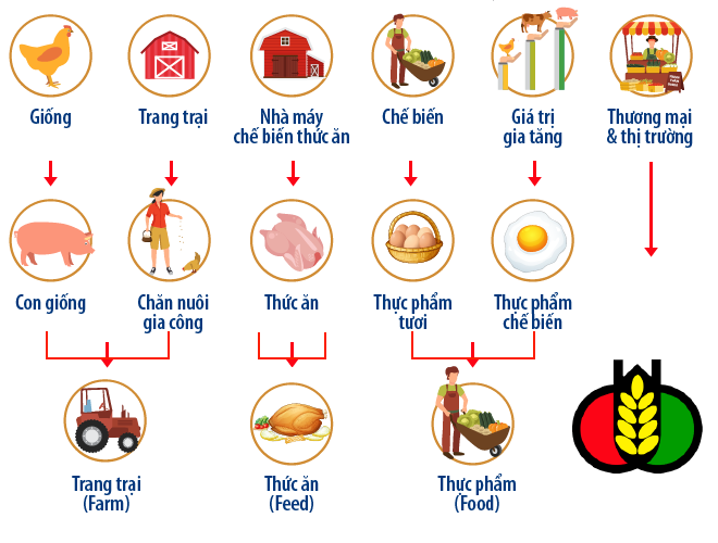 Chủ tịch Dabaco: Chính chuỗi cung ứng khép kín đã giúp Dabaco đạt vị thế hàng đầu trong ngành chăn nuôi cả nước - Ảnh 2.