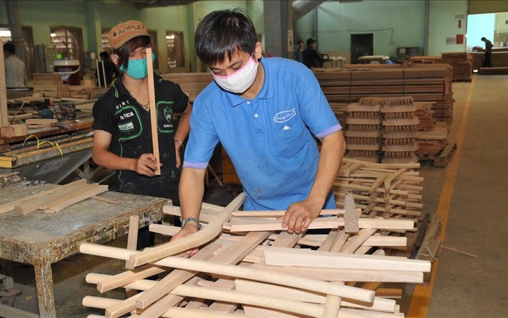 Gỗ Trường Thành gần âm hết vốn điều lệ: Một cá nhân miễn toàn bộ lãi vay và giảm nợ gần 200 tỷ đồng