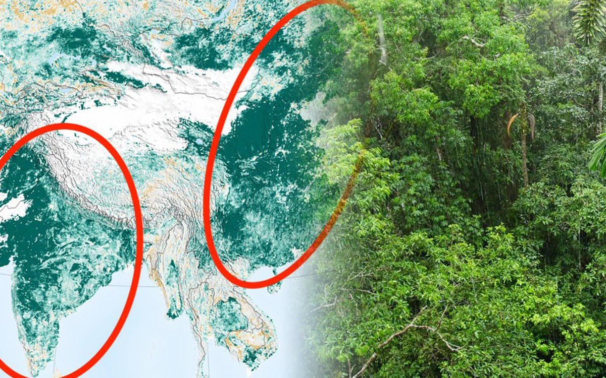 NASA công bố tin vui: “Trái Đất chưa hề xanh đến như vậy suốt 20 năm qua!”, nhưng nguyên nhân mới là điều bất ngờ nhất!