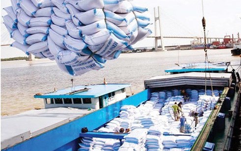 Vì sao xuất khẩu gạo Việt Nam sang Trung Quốc sụt giảm mạnh?