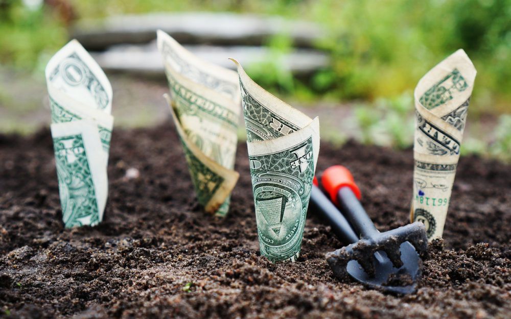 Lĩnh vực đầu tư này sẽ giúp bạn kiếm hàng triệu USD mà không phải đóng 1 xu tiền thuế
