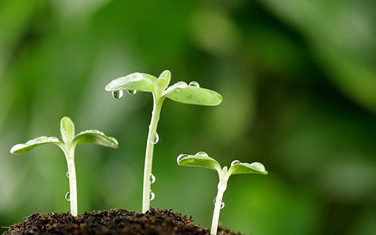 Không cần tốn quá nhiều thời gian và tiền bạc, thực hiện 9 bước đơn giản dưới đây để làm mới bản thân mỗi ngày