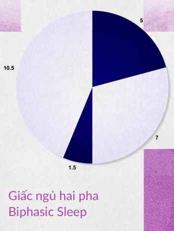 Đọc cuối tuần: Con người có thể ngủ 2 tiếng mỗi ngày để sống nhiều hơn 10 năm cuộc đời hay không? - Ảnh 3.