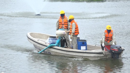  Hà Nội nói gì về chế phẩm xử lý nước độc quyền và vụ 200 tấn cá chết trắng hồ Tây?  - Ảnh 1.