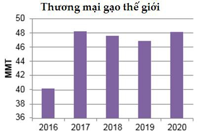 Dự báo toàn cảnh thị trường lúa gạo thế giới năm 2019/2020 - Ảnh 5.