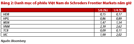 Điểm mặt các quỹ benchmark MSCI Frontier Index có thể tăng tỷ trọng cổ phiếu Việt Nam trong thời gian tới - Ảnh 2.