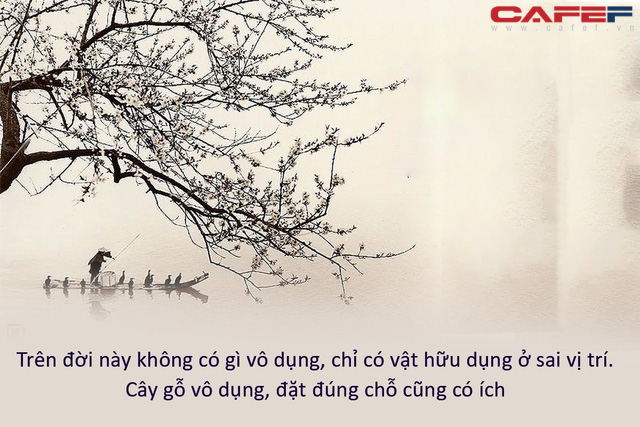 Mượn chuyện cây cối, cổ nhân truyền dạy đạo lý ngàn đời không cũ: “Hữu dụng” hay “vô dụng”, không thể thoáng qua mà biết; vật vô dụng, đặt đúng chỗ cũng có ích - Ảnh 1. Mượn chuyện cây cối, cổ nhân truyền dạy đạo lý ngàn đời không cũ: “Hữu dụng” hay “vô dụng”, không thể thoáng qua mà biết; vật vô dụng, đặt đúng chỗ cũng có ích - Ảnh 1.