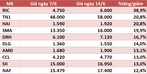10 cổ phiếu tăng/giảm mạnh nhất tuần: Nhóm vừa và nhỏ vẫn hút dòng tiền - Ảnh 1.