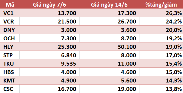 10 cổ phiếu tăng/giảm mạnh nhất tuần: Nhóm vừa và nhỏ vẫn hút dòng tiền - Ảnh 3.