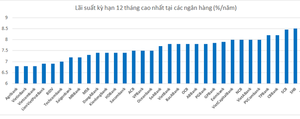 33 ngân hàng Việt, ai đang có lãi suất huy động kỳ hạn 12 tháng cao nhất? - Ảnh 1.