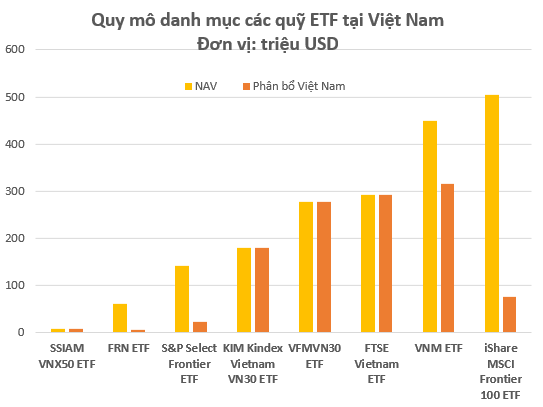 Điểm mặt quỹ ETFs giải ngân trên thị trường Việt Nam: Bất ngờ với nhiều cái tên lạ - Ảnh 1.