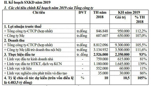 ĐHCĐ Viglacera: Ra mắt tân Chủ tịch HĐQT, lợi nhuận trước thuế có thể vượt mốc 1.000 tỷ đồng trong năm 2019 - Ảnh 1.