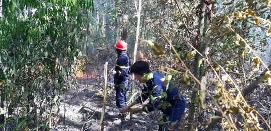  Đà Nẵng: Cháy lớn suốt 5 giờ khiến 3 hecta rừng bị thiêu rụi  - Ảnh 2.