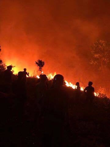 Cháy rừng lớn nhất ở Hà Tĩnh, chặn quốc lộ 1A, nghìn người dập lửa - Ảnh 12.