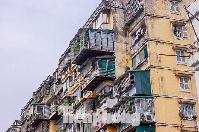 Thanh tra xây dựng tuyên bố chịu thua nạn chuồng cọp bao phủ chung cư? - Ảnh 2. Thanh tra xây dựng tuyên bố chịu thua nạn chuồng cọp bao phủ chung cư? - Ảnh 2.