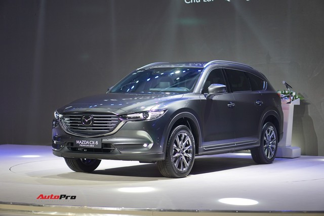 Vì sao VinFast, Hyundai và THACO không tham gia Triển lãm Ô tô Việt Nam 2019? - Ảnh 2.