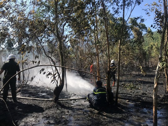 Cháy lớn trên bán đảo Sơn Trà, hơn 8 hecta rừng bị thiêu rụi  - Ảnh 1.