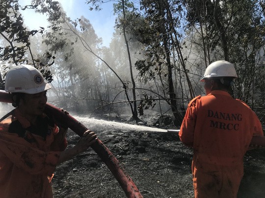 Cháy lớn trên bán đảo Sơn Trà, hơn 8 hecta rừng bị thiêu rụi  - Ảnh 2.