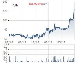 Cảng Đồng Nai (PDN): Lãi quý 2 đi ngang cùng kỳ, 6 tháng hoàn thành 56% kế hoạch năm - Ảnh 1.