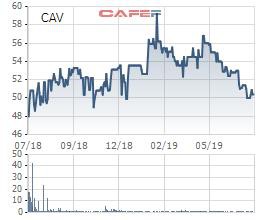 Cadivi (CAV) báo lãi trước thuể nửa đầu năm tăng mạnh 47%, hoàn thành 63% kế hoạch năm - Ảnh 2.