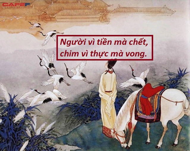 Cây lớn không tranh giành với cỏ dại, người làm được đại sự không cố chấp với đời: Kẻ khôn ngoan luôn hiểu đạo lý, khiêm tốn âm thầm nhất định sẽ vươn xa - Ảnh 1. Cây lớn không tranh giành với cỏ dại, người làm được đại sự không cố chấp với đời: Kẻ khôn ngoan luôn hiểu đạo lý, khiêm tốn âm thầm nhất định sẽ vươn xa - Ảnh 1.