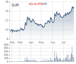 Tập đoàn Cao su (GVR): 6 tháng lãi sau thuế 1.059 tỷ đồng, tăng 15,7% cùng kỳ năm trước - Ảnh 3.