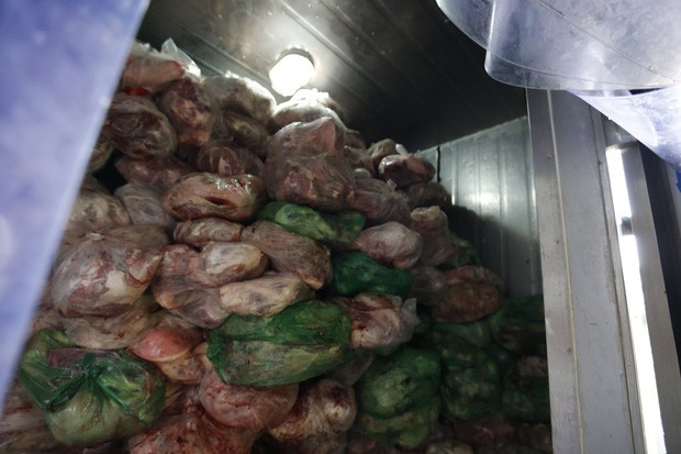 Phát hiện kho chứa hàng trăm cân thịt lợn bốc mùi hôi thối tại Đà Lạt - Ảnh 3.
