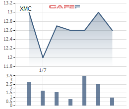 Xuân Mai Corp (XMC) sắp có sự xáo trộn lớn về cơ cấu cổ đông ngay khi trở lại chứng trường - Ảnh 1.