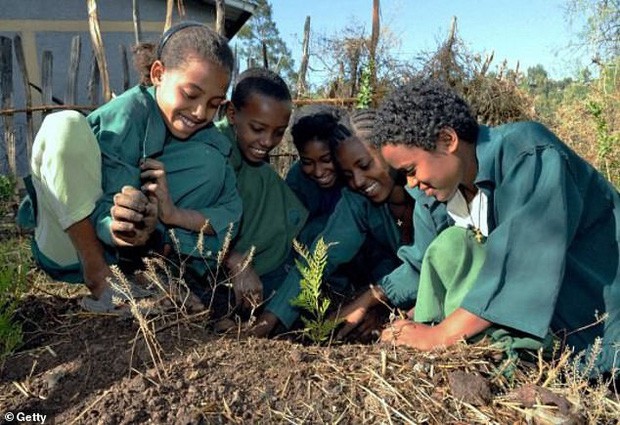 Trồng 350 TRIỆU cây xanh trong MỘT ngày, quốc gia này chính thức phá kỷ lục trồng cây trên mọi thời đại - Ảnh 2.