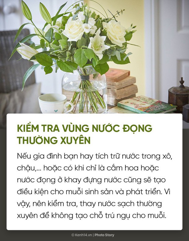 Dịch sốt xuất huyết lại bùng lên, đừng bỏ qua những cách đuổi muỗi đơn giản dễ áp dụng này để muỗi không có cơ hội hại bạn - Ảnh 4.