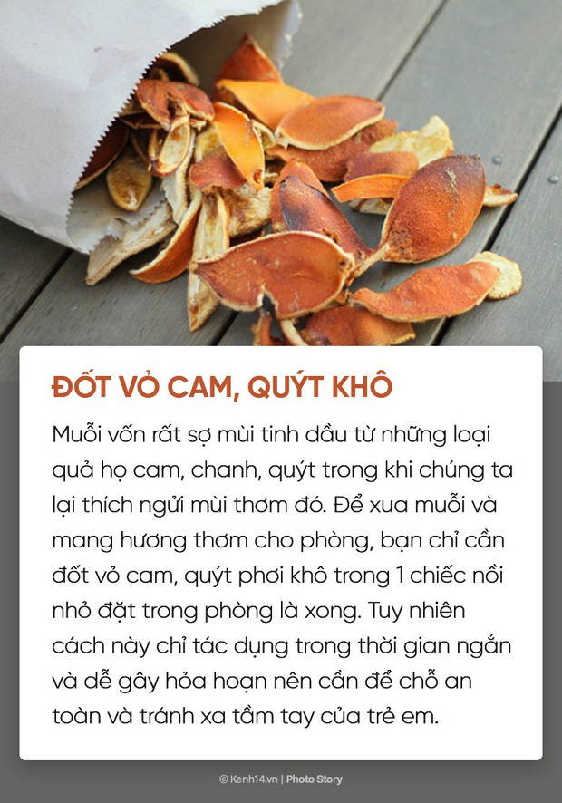 Dịch sốt xuất huyết lại bùng lên, đừng bỏ qua những cách đuổi muỗi đơn giản dễ áp dụng này để muỗi không có cơ hội hại bạn - Ảnh 5.