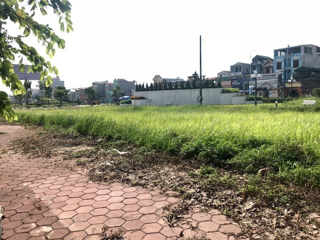 Miếng đất đầy cỏ dại ‘chôn’ tiền tỷ ở khu đô thị TNR Stars Đồng Văn - Ảnh 14.
