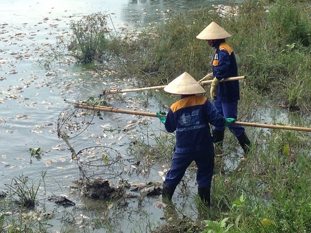 Nguyên nhân cá chết hàng loạt nổi trắng hồ Yên Sở ở Hà Nội - Ảnh 2.