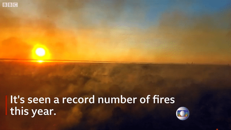 8 tháng 100.000 vụ cháy, thảm họa tầm cỡ địa cầu: Đây là tình hình cháy rừng đang diễn ra tại Amazon vào lúc này - Ảnh 3.