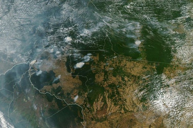 8 tháng 100.000 vụ cháy, thảm họa tầm cỡ địa cầu: Đây là tình hình cháy rừng đang diễn ra tại Amazon vào lúc này - Ảnh 1.