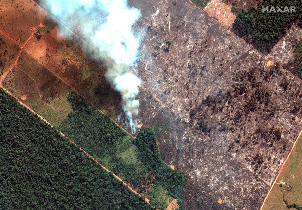 Thảm họa của thế kỉ 21: Rừng Amazon có thể tự dập lửa nhưng bị chính con người bức tử và sự trả thù của thiên nhiên sẽ vô cùng tàn khốc - Ảnh 1.